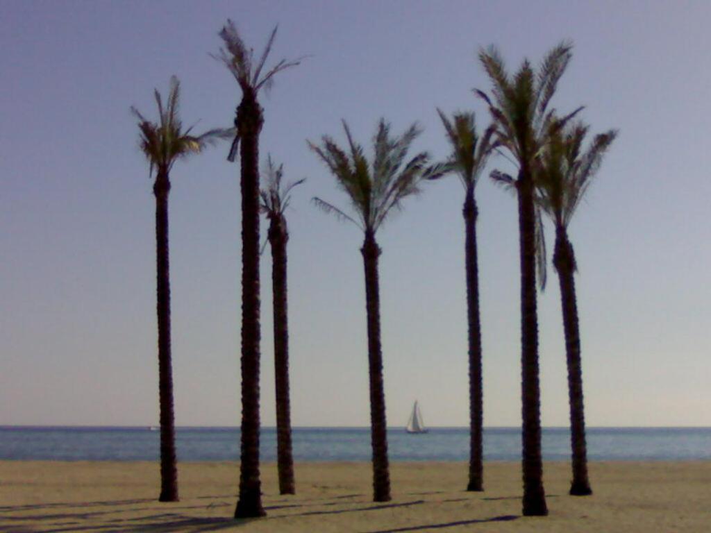 Atractivo En La Playa Con Parking Appartement